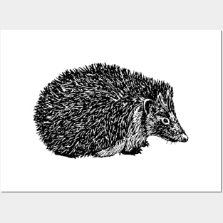 Hedgehog Posters and Art